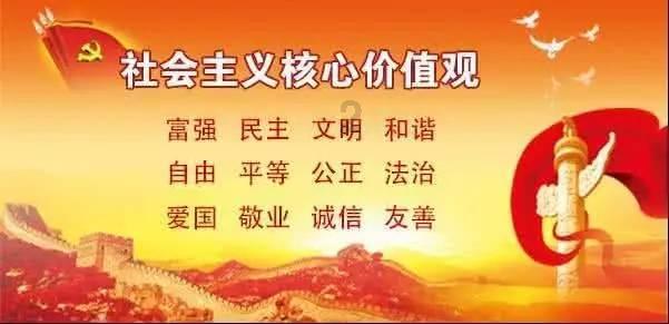 救援小橘猫